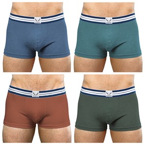 Pack de 4 shortys classiques en coton bio - 4 nouvelles couleurs 