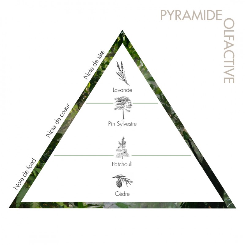 Bougie de l'enracinement - Sikerei - aux huiles essentielles bio - Copie 3