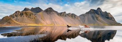 HEYE Puzzle - Iceland Horses - Panoramique 1000 Pièces 3