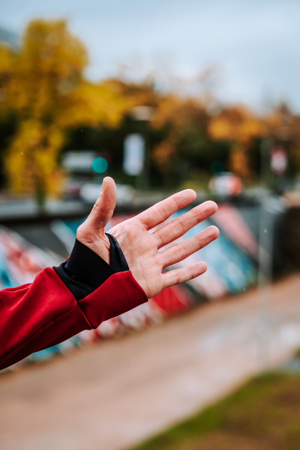 Wild Fleece - Polaire recyclée homme