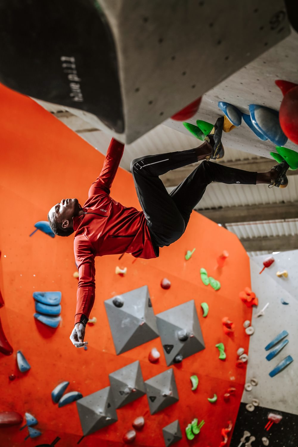 Wild Fleece - Polaire recyclée homme