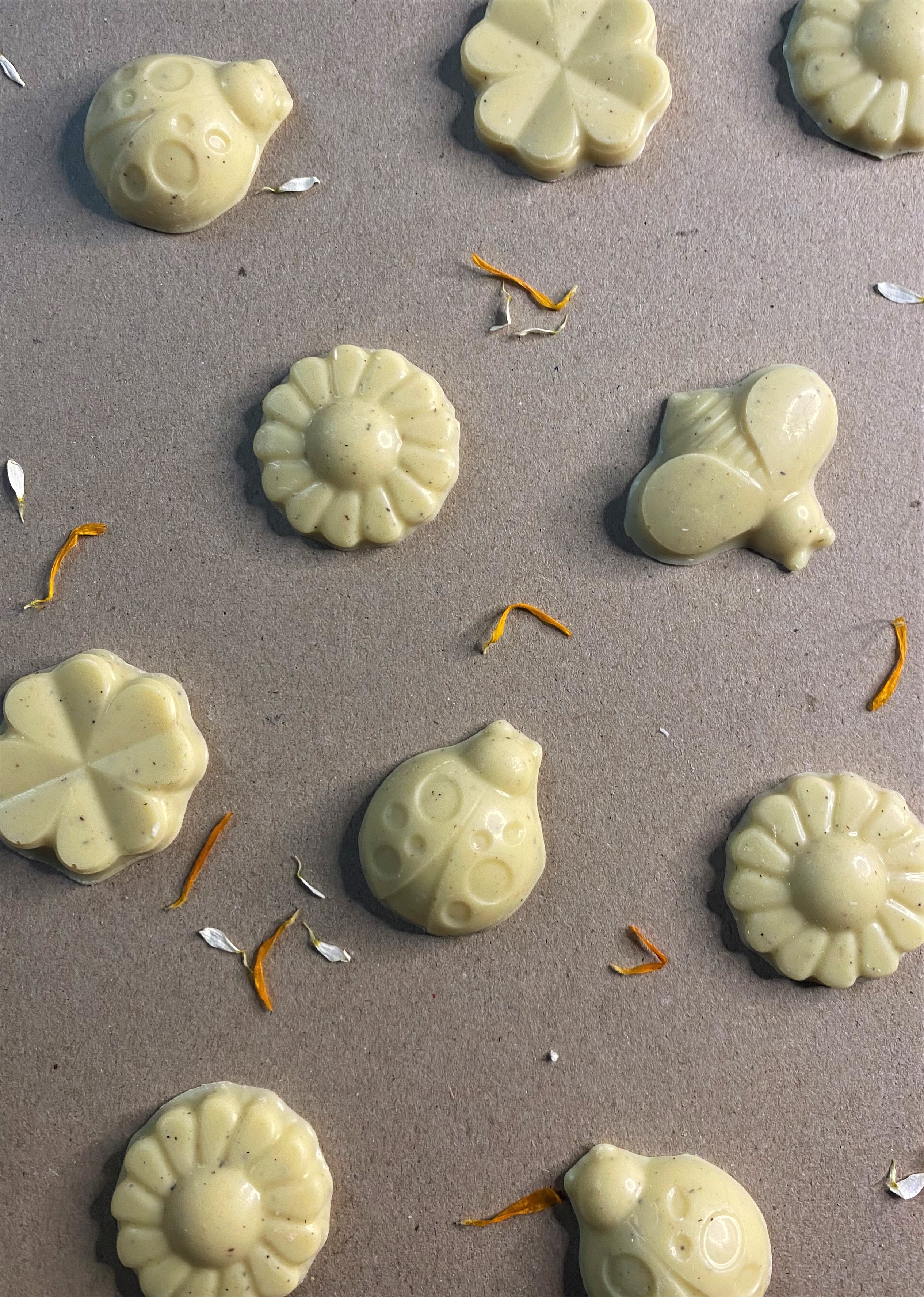 L'œuf "Calice" Aspérule X Tonka 3