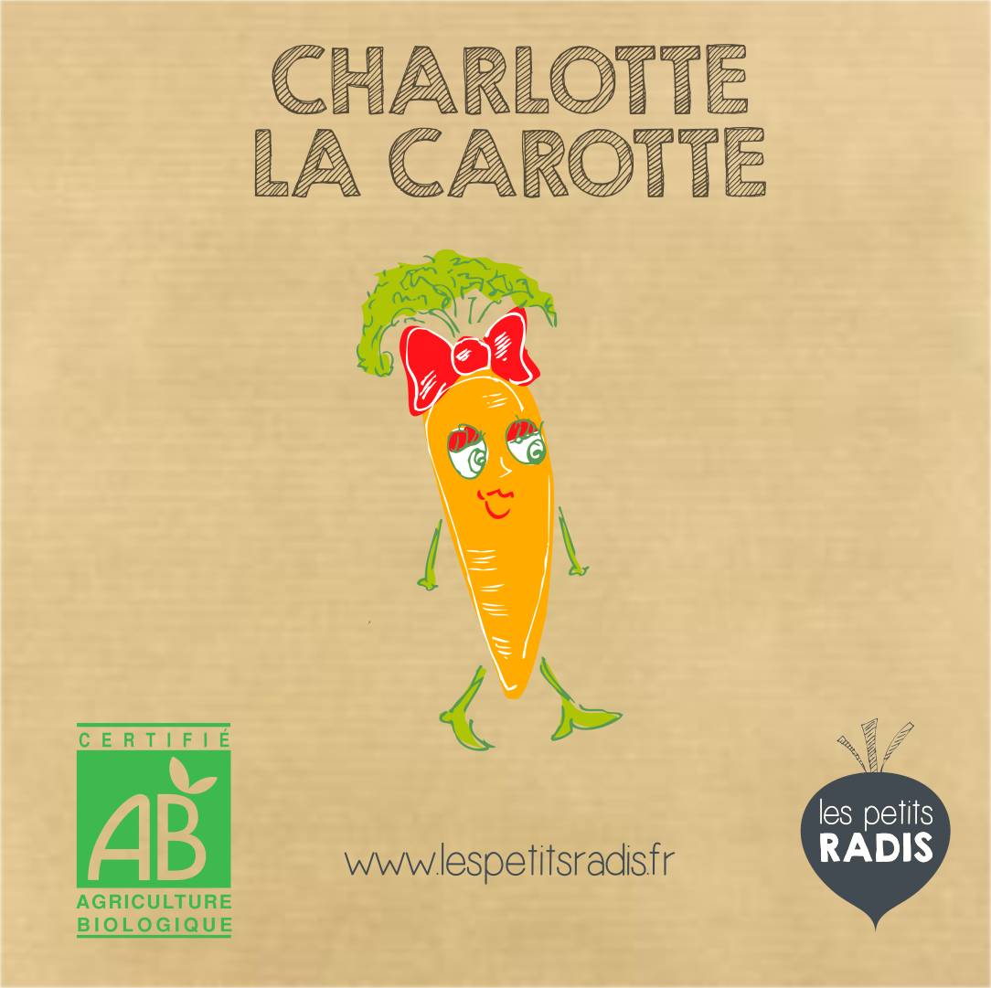 Graines de carotte BIO