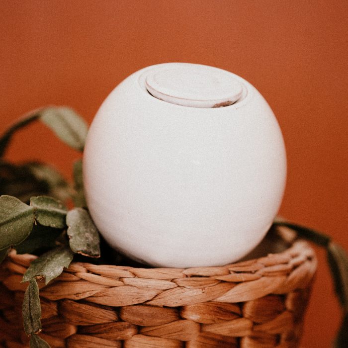 Ollas à planter poterie Lutton