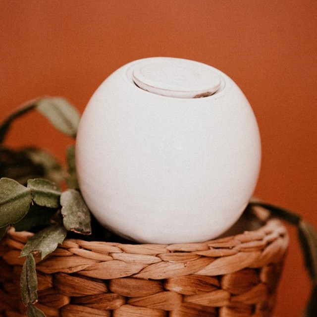 Ollas à planter poterie Lutton