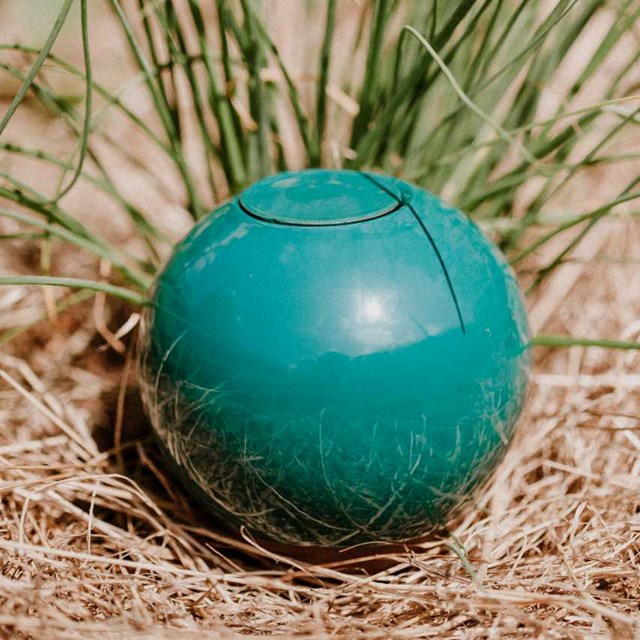 Ollas à planter poterie Lutton