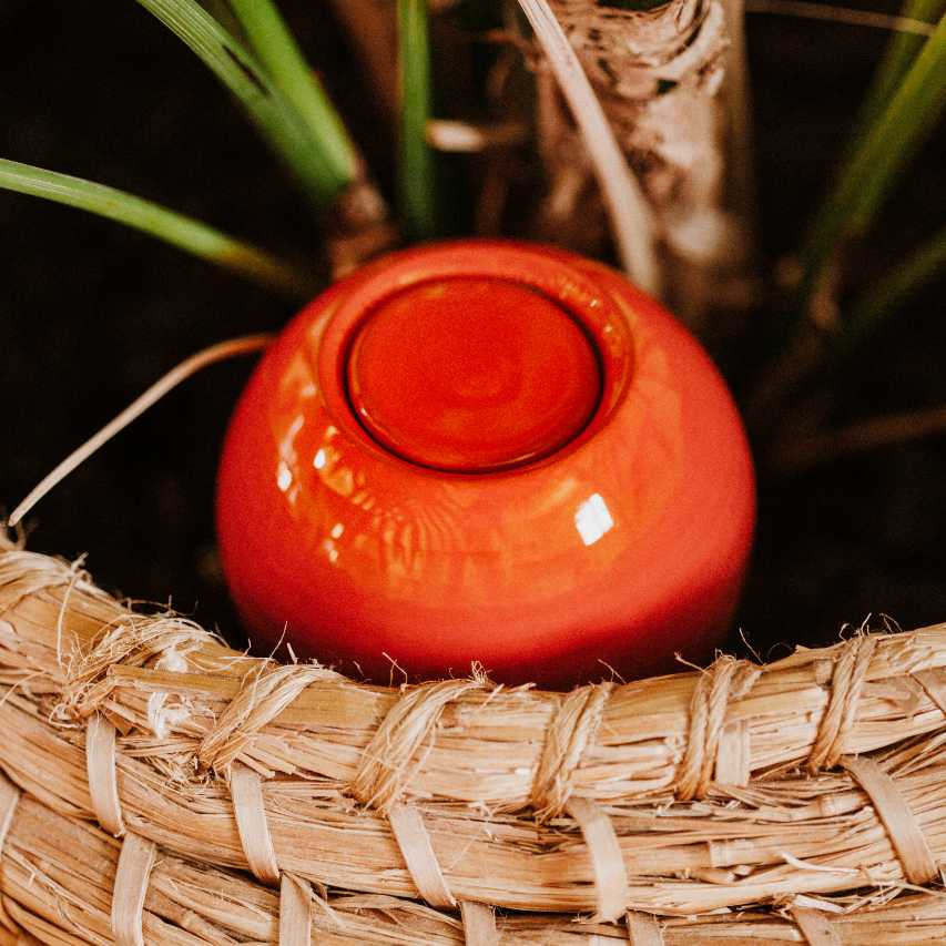 Ollas à planter poterie Lutton