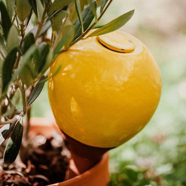 Ollas à planter poterie Lutton