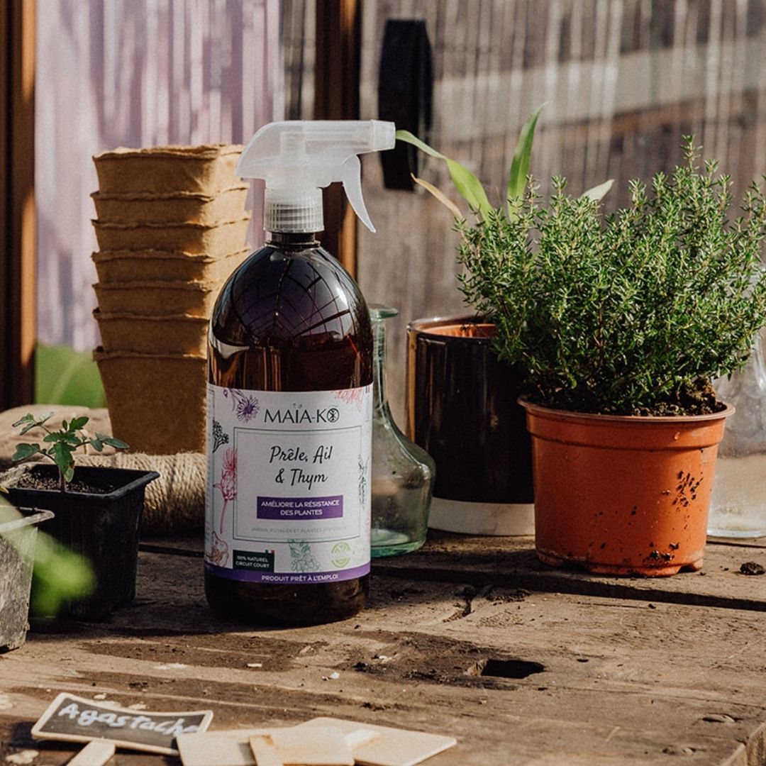 Spray Prêle, Ail & Thym MAÏA-KO résistance