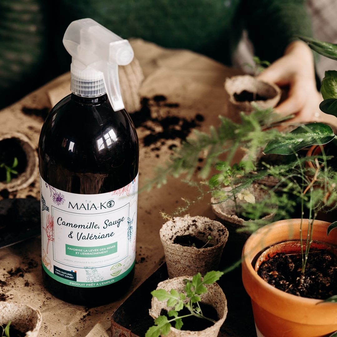 Spray Camomille, Sauge & Valériane MAÏA-KO semis et plantations