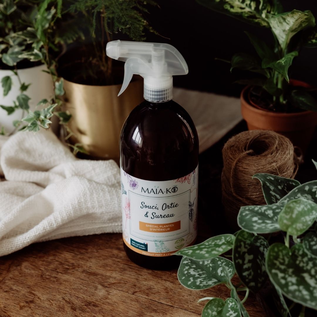 Spray Souci, Ortie & Sureau MAÏA-KO plantes d'intérieur