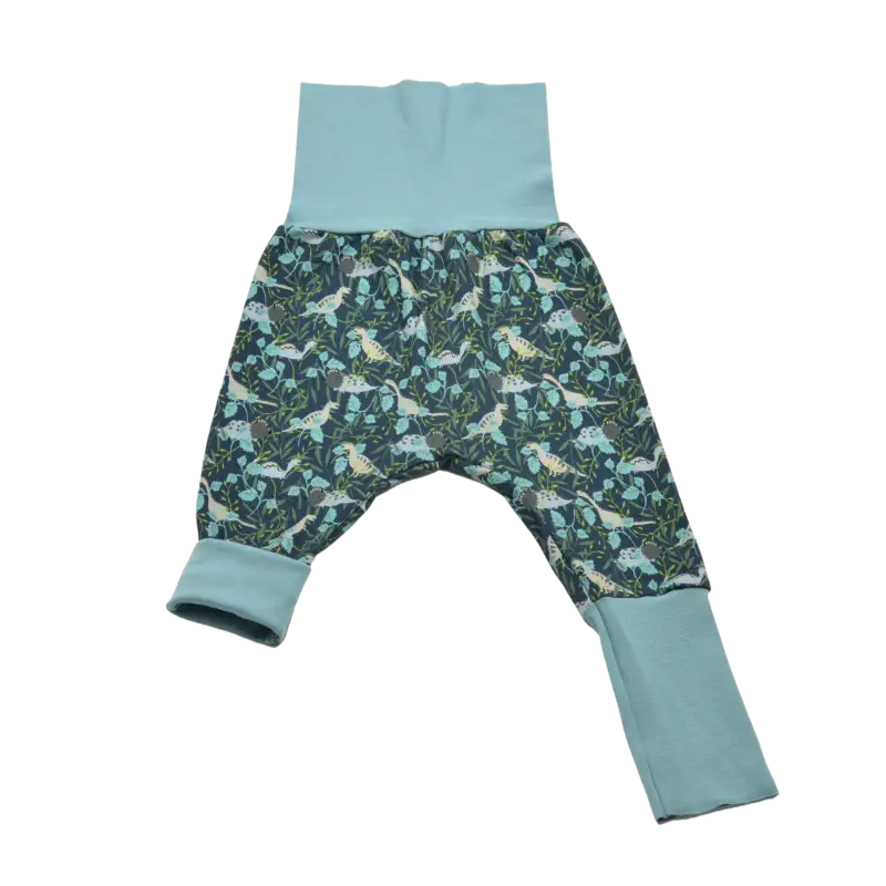 Sarouel évolutif - dinosaures 3