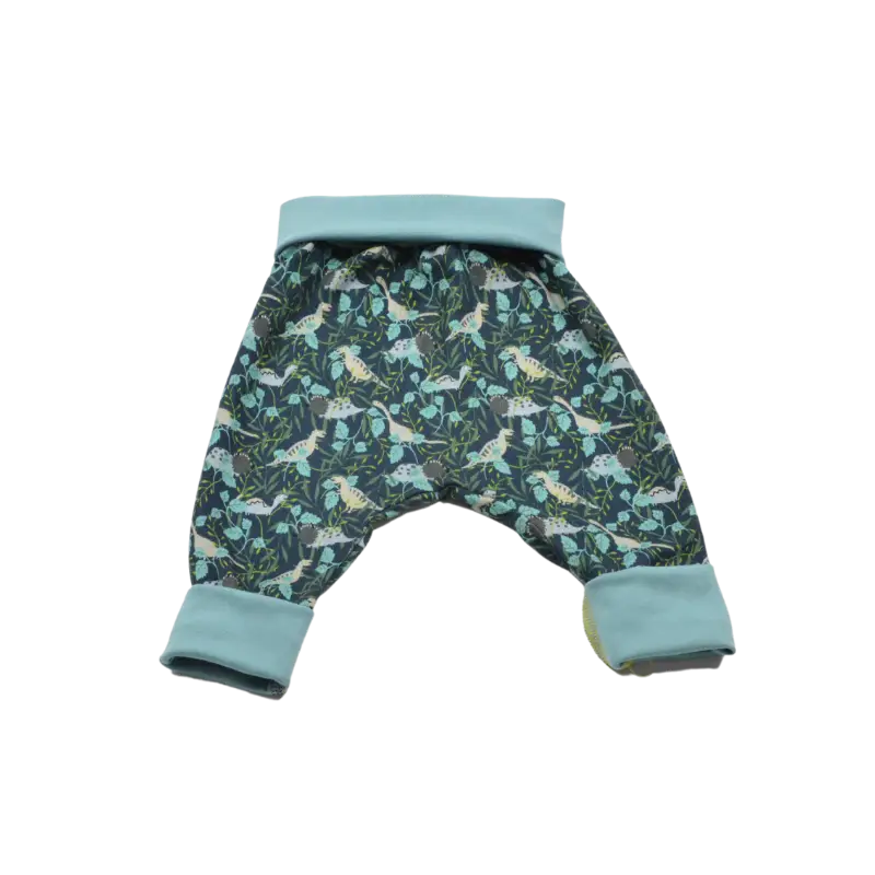 Sarouel évolutif - dinosaures 4