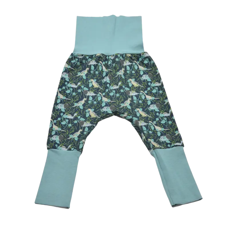 Sarouel évolutif - dinosaures 2