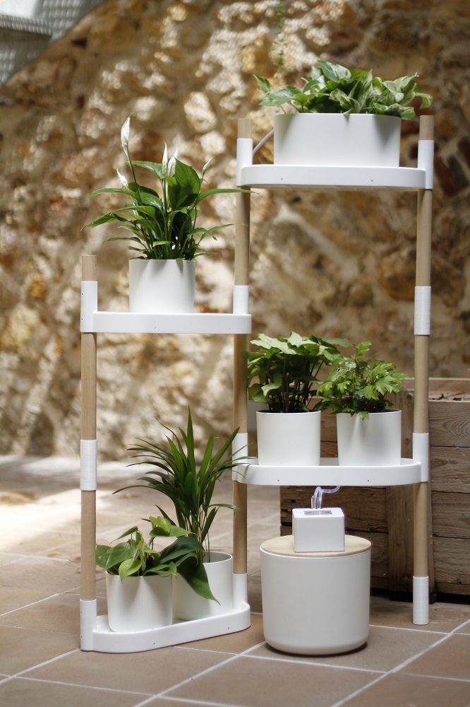 Arrosage goutte à goutte automatique avec réservoir d'eau