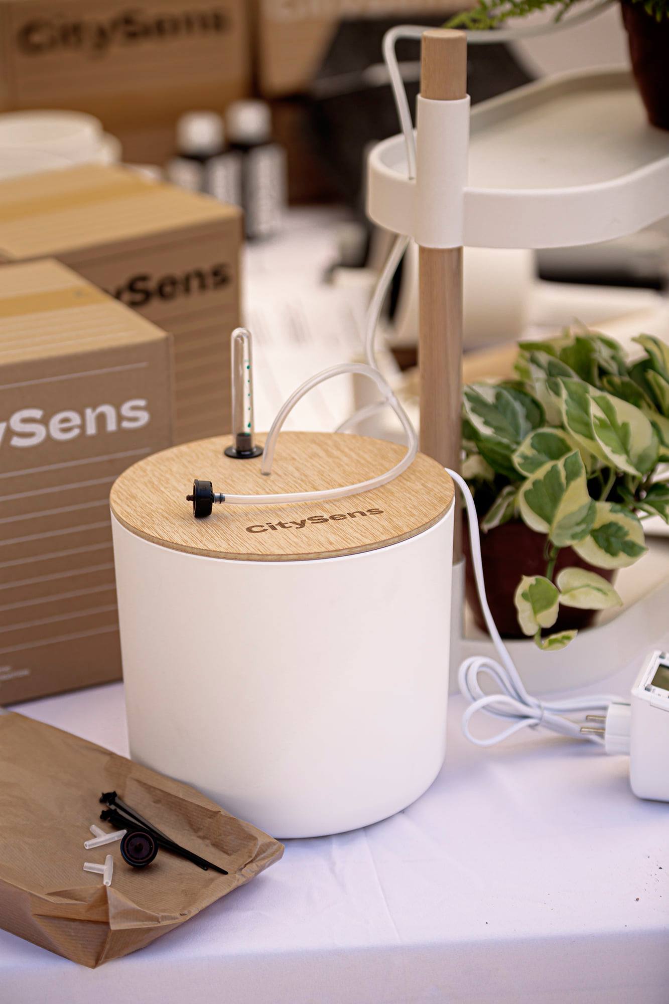 Arrosage pour les vacances - plantes d'intérieur