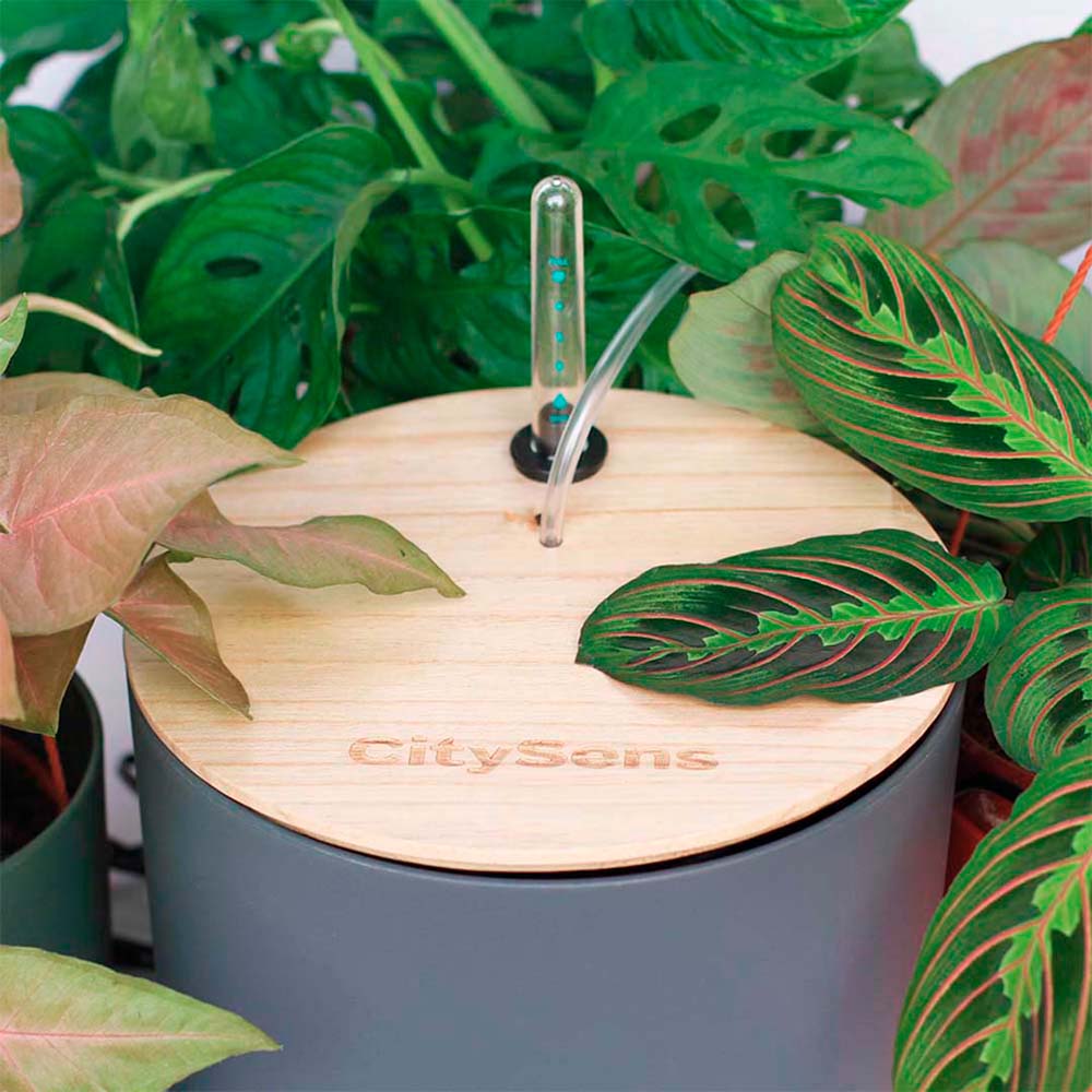 Arrosage goutte à goutte SMART pour plantes d'intérieur 10