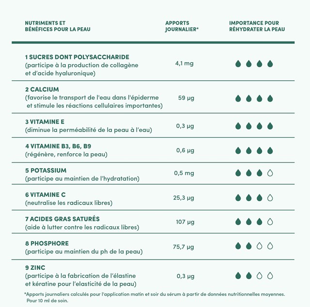 SÉRUM BOOSTER DÉSALTÉRANT BIO 6