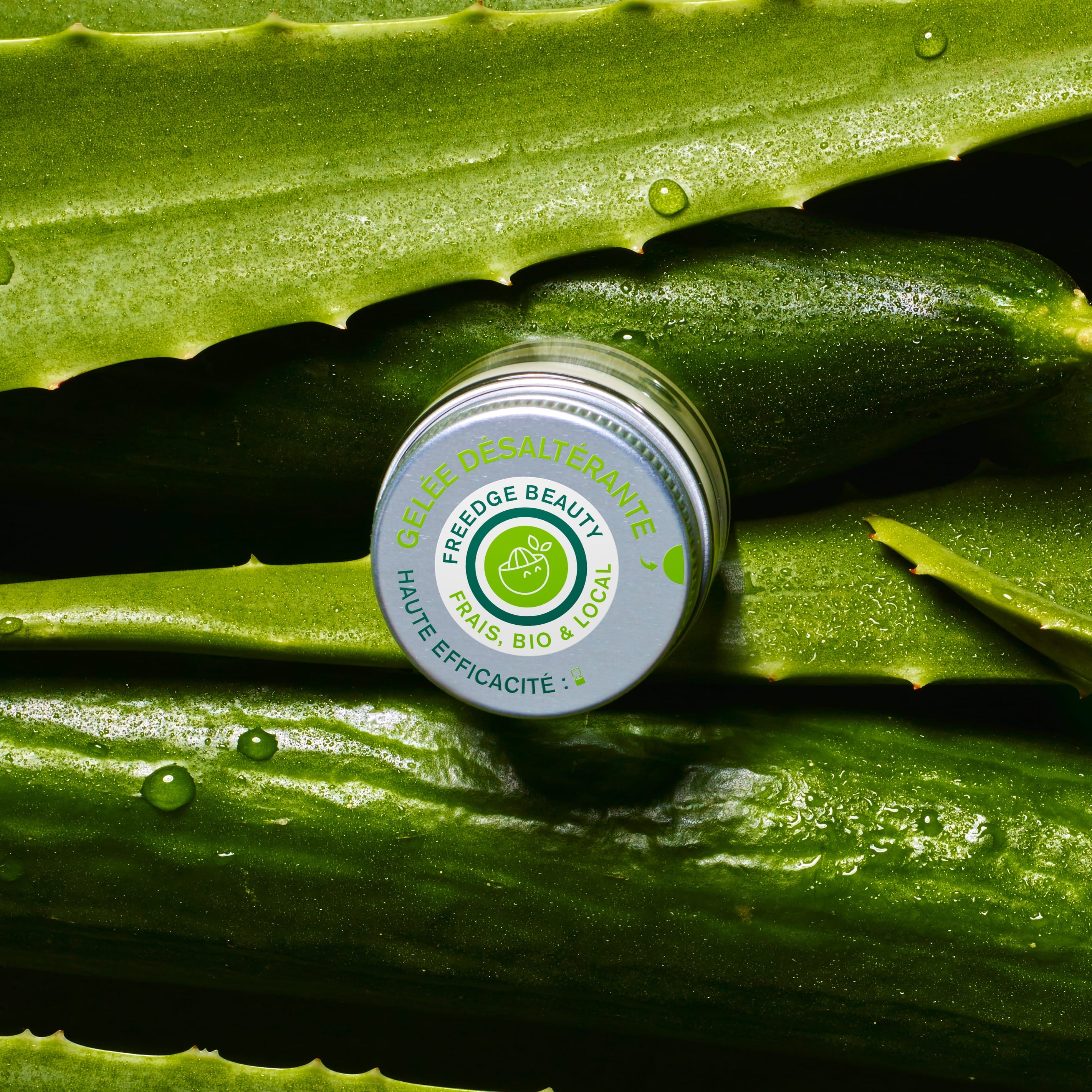 GELÉE VISAGE DÉSALTÉRANTE BIO 2