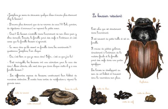 Le bousier
