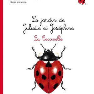 La coccinelle - Le Jardin de Juliette et Joséphine