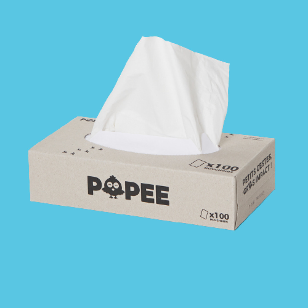 Mouchoirs peaux sensibles Popee (35 boîtes de 100) 2