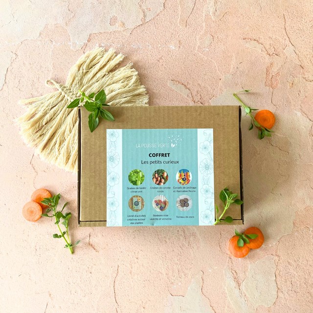 coffret fermé les petits curieux