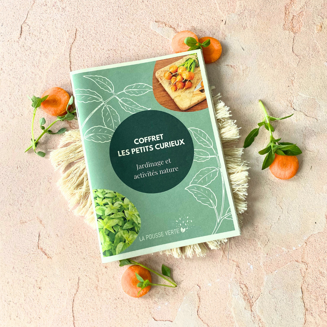 feuillet les petits curieux