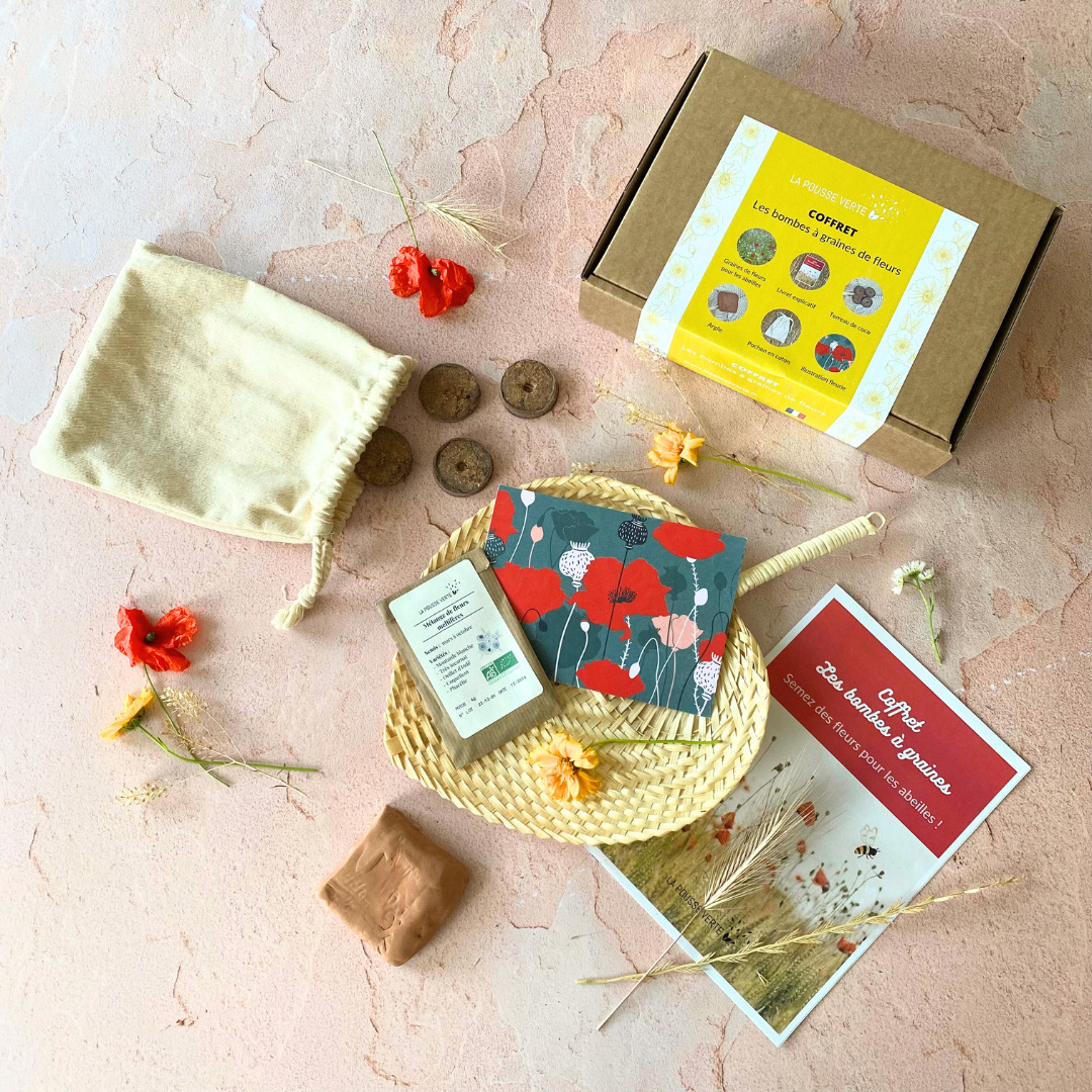 détails coffret les bombes à graines