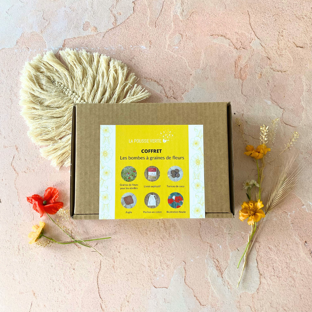 coffret fermé les bombes à graines