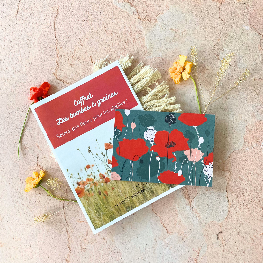 feuillet et illustration les bombes à graines