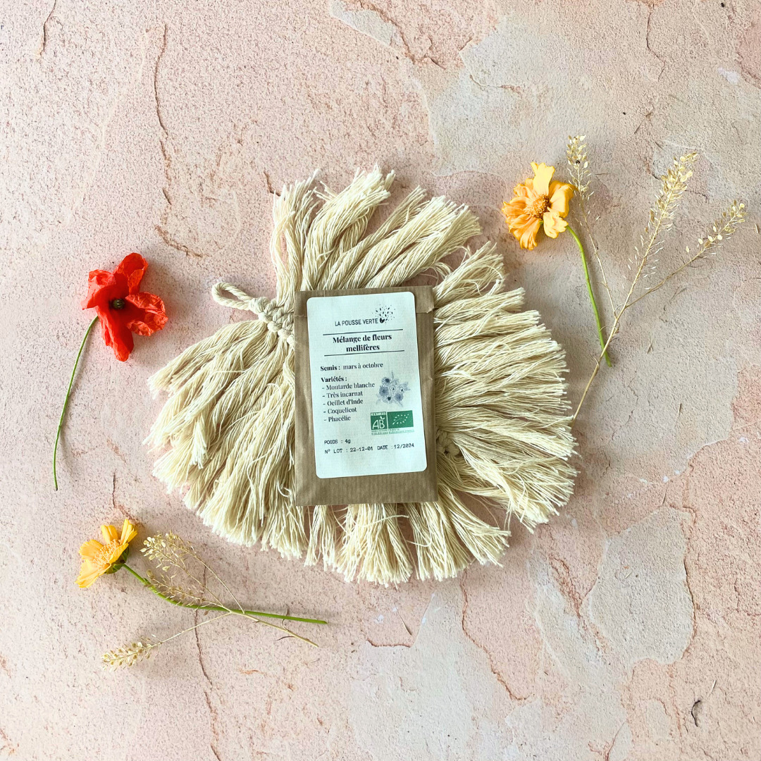 graines de fleurs mellifères les bombes à graines