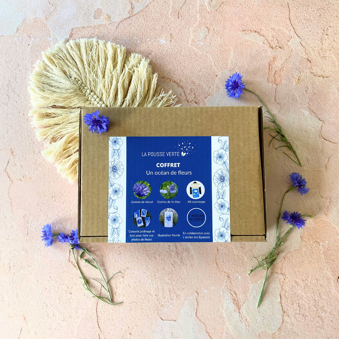 coffret fermé un océan de fleurs