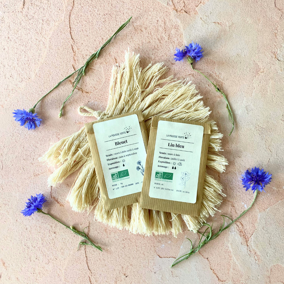 graines de lin bleu et de bleuet