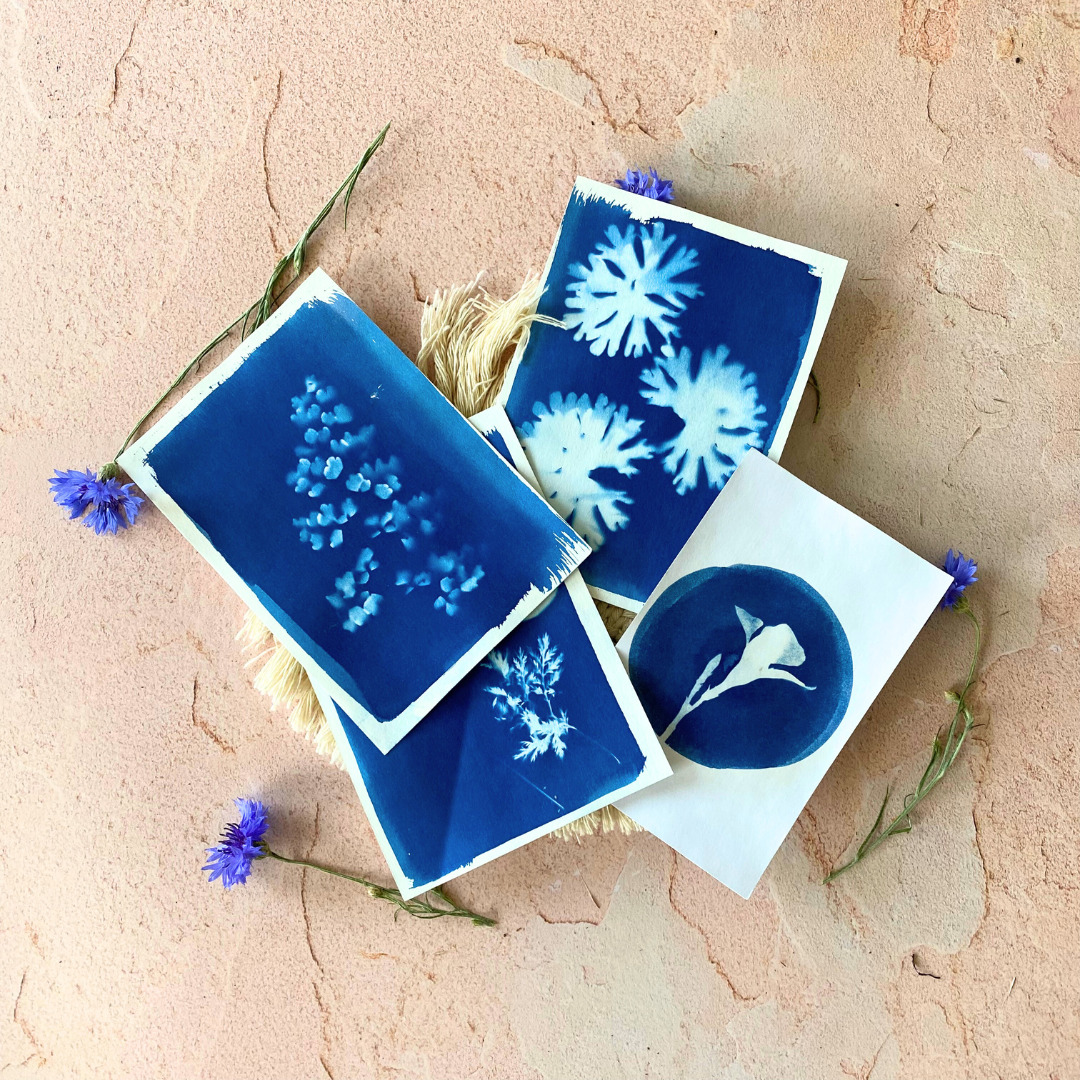 exemples cyanotypes un océan de fleurs
