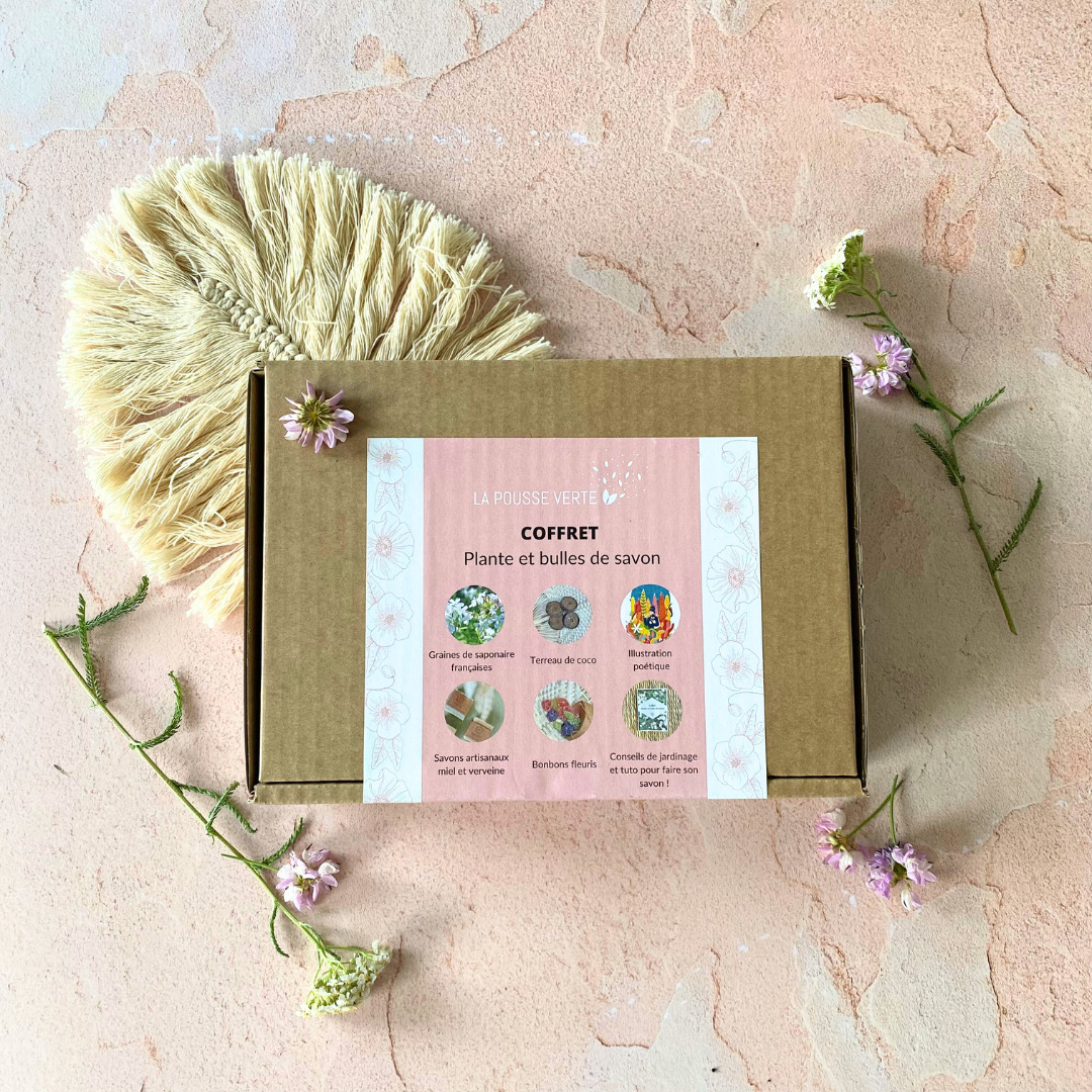 coffret fermé plante et bulles de savon