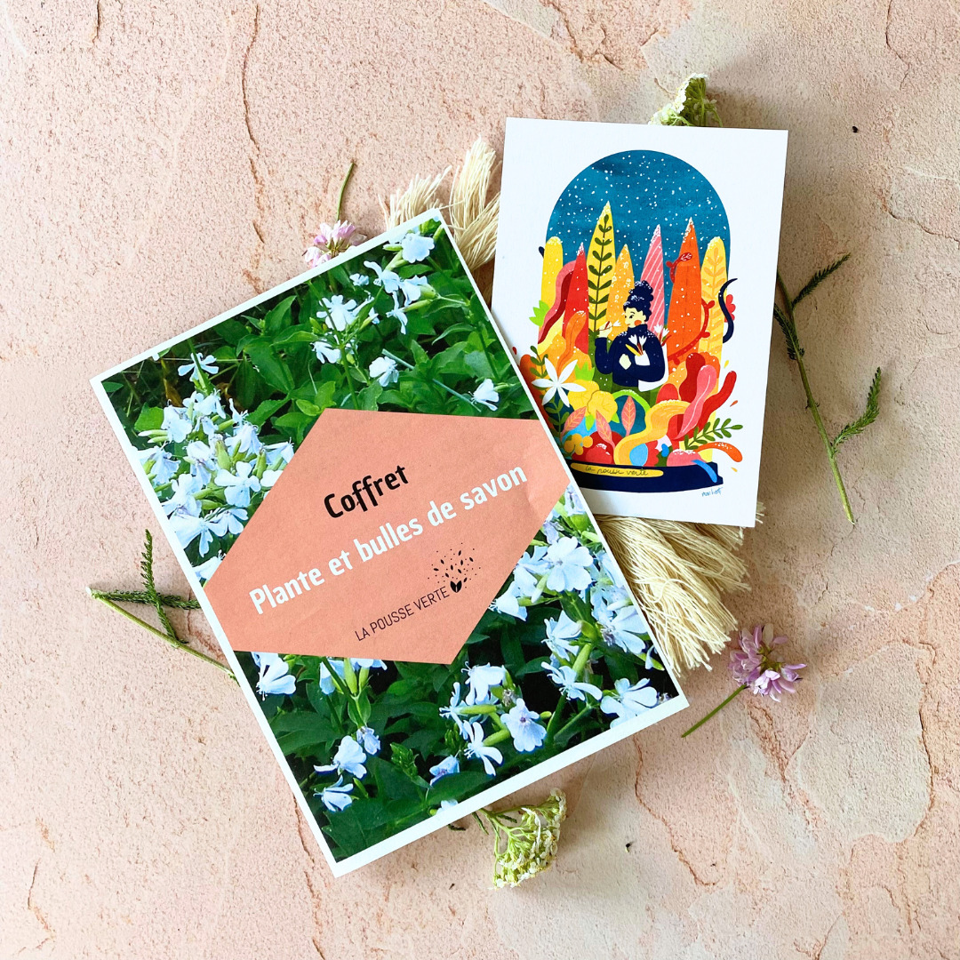 feuillet et illustration pante et bulles de savon