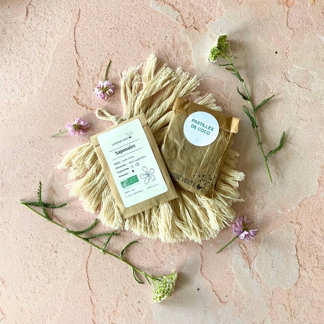 graine de saponaire et pastilles de coco