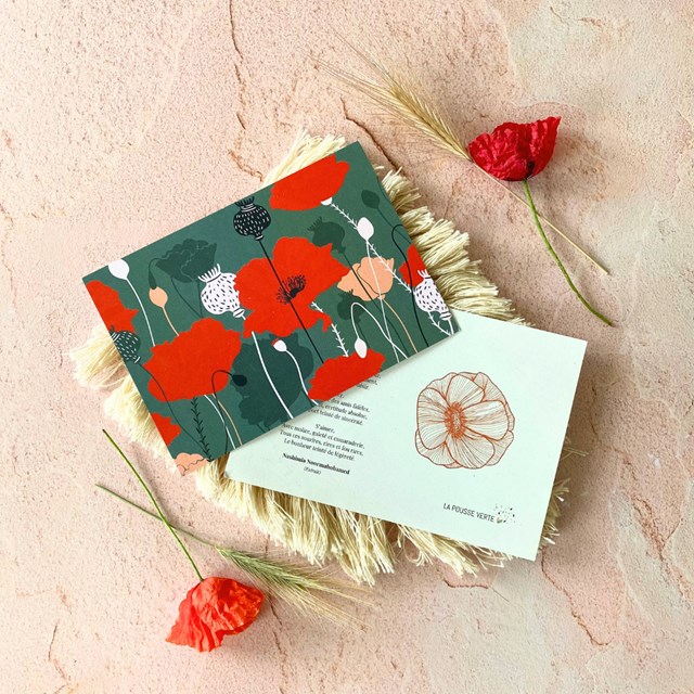 illustration et poème un amour de coquelicot
