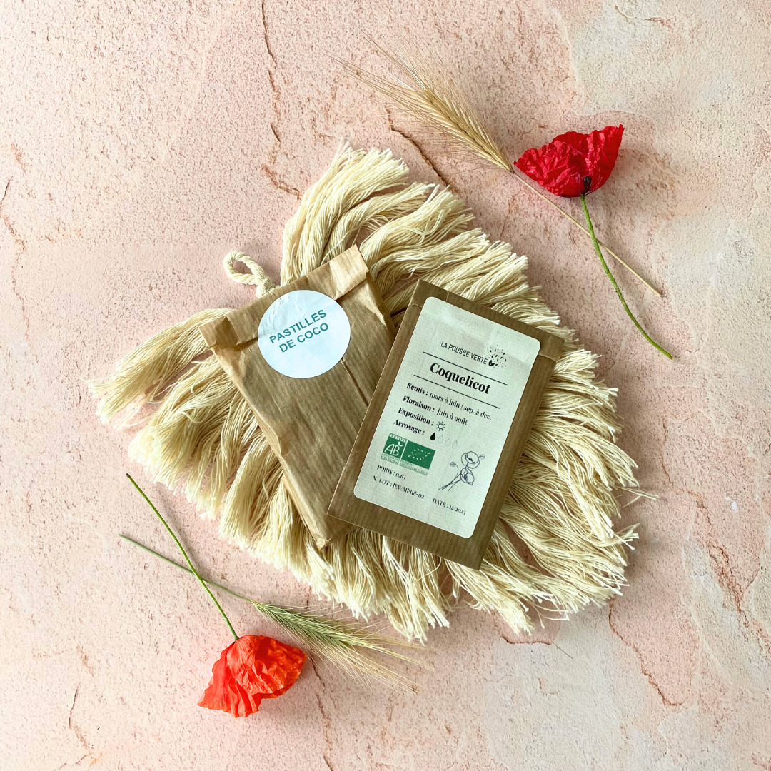 graines de coquelicot et pastille de coco un amour de coquelicot