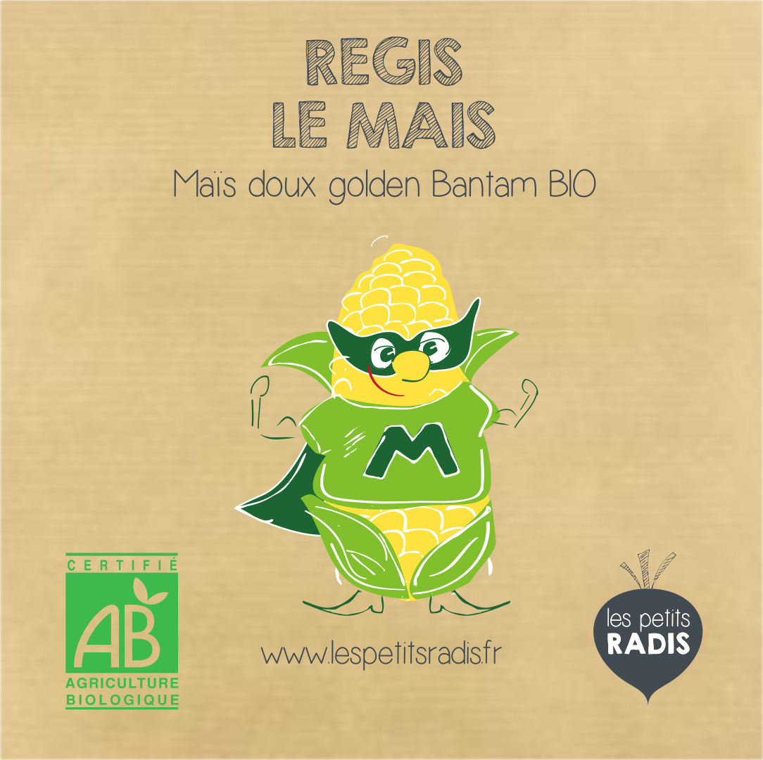 Graines de maïs BIO