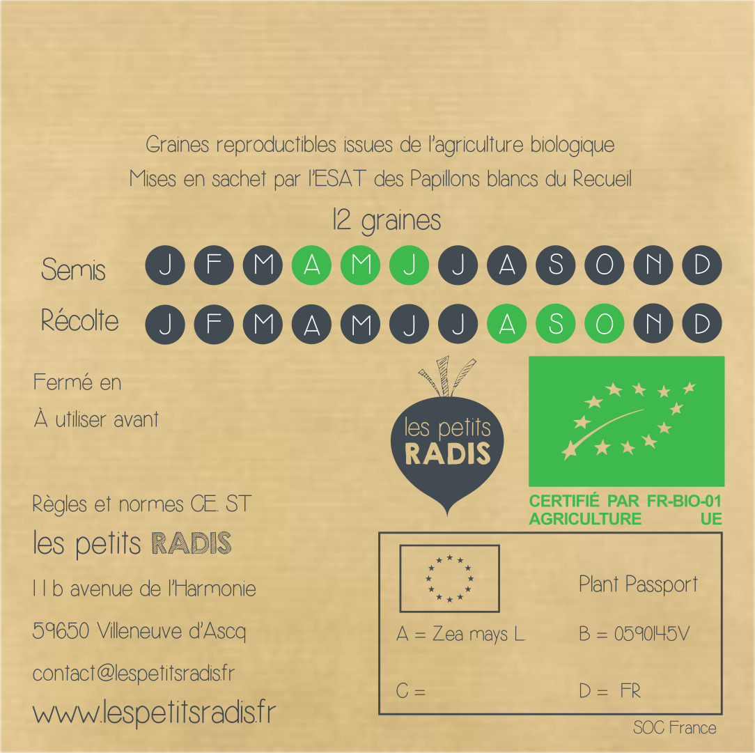 Graines de maïs BIO