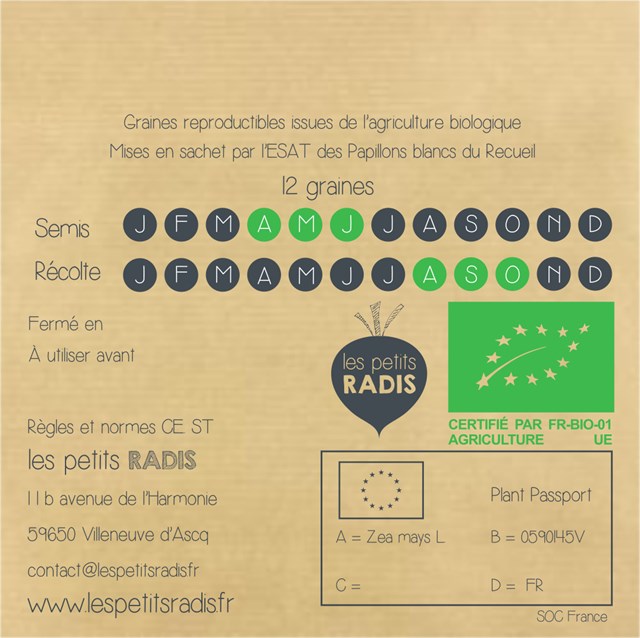 Graines de maïs BIO