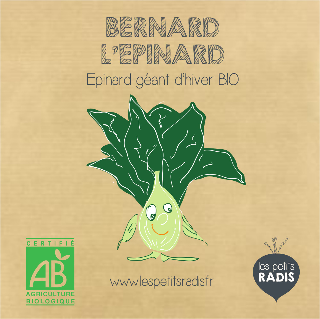 Graines d'épinards BIO