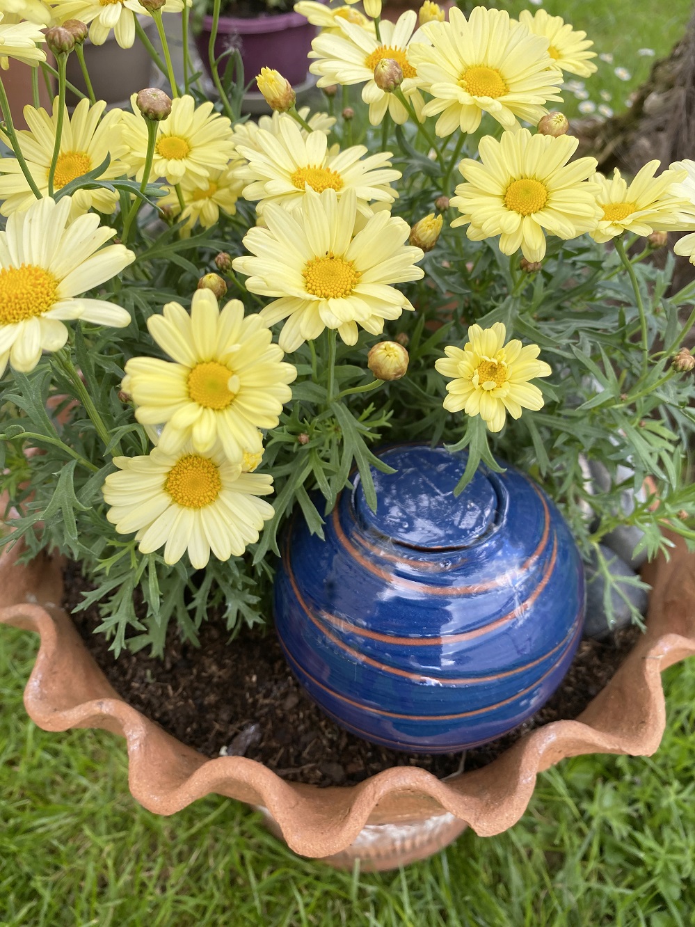 Ollas émaillées Décorées 9