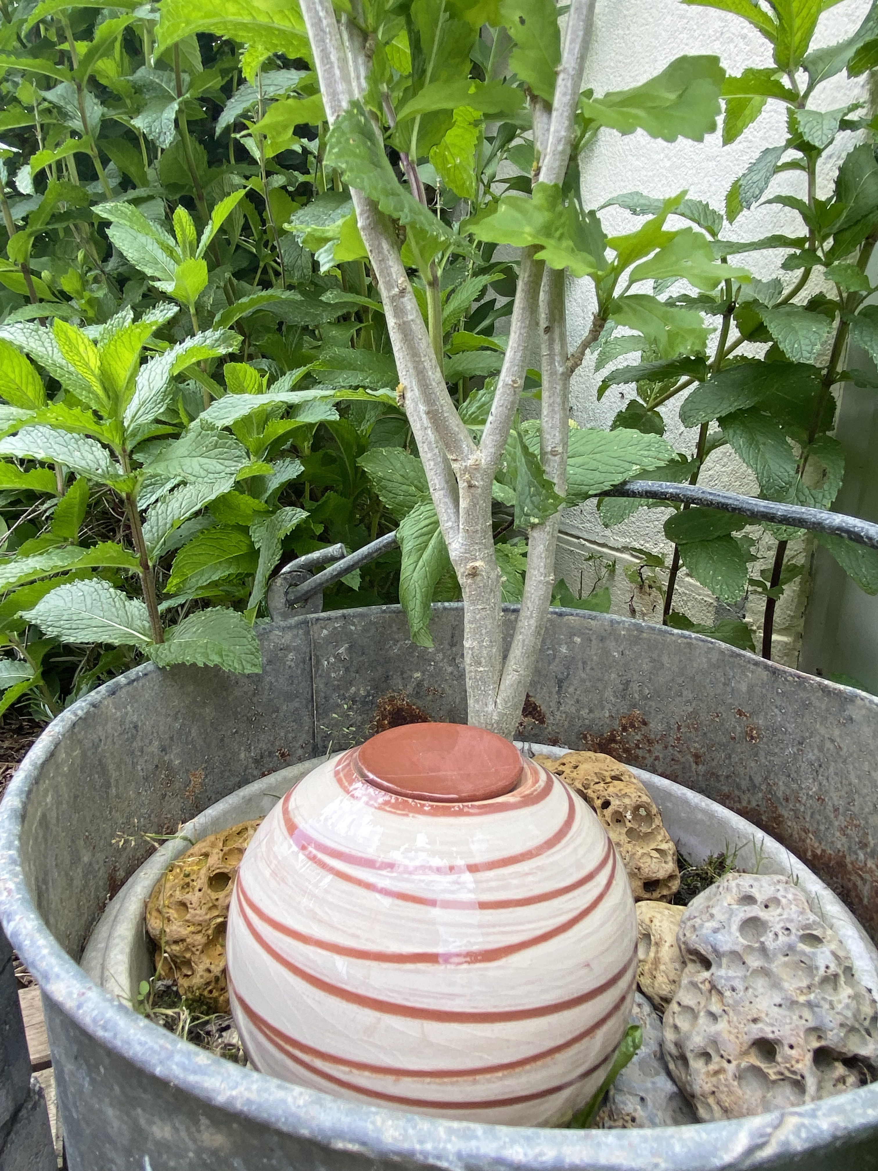 Ollas émaillées Décorées 4