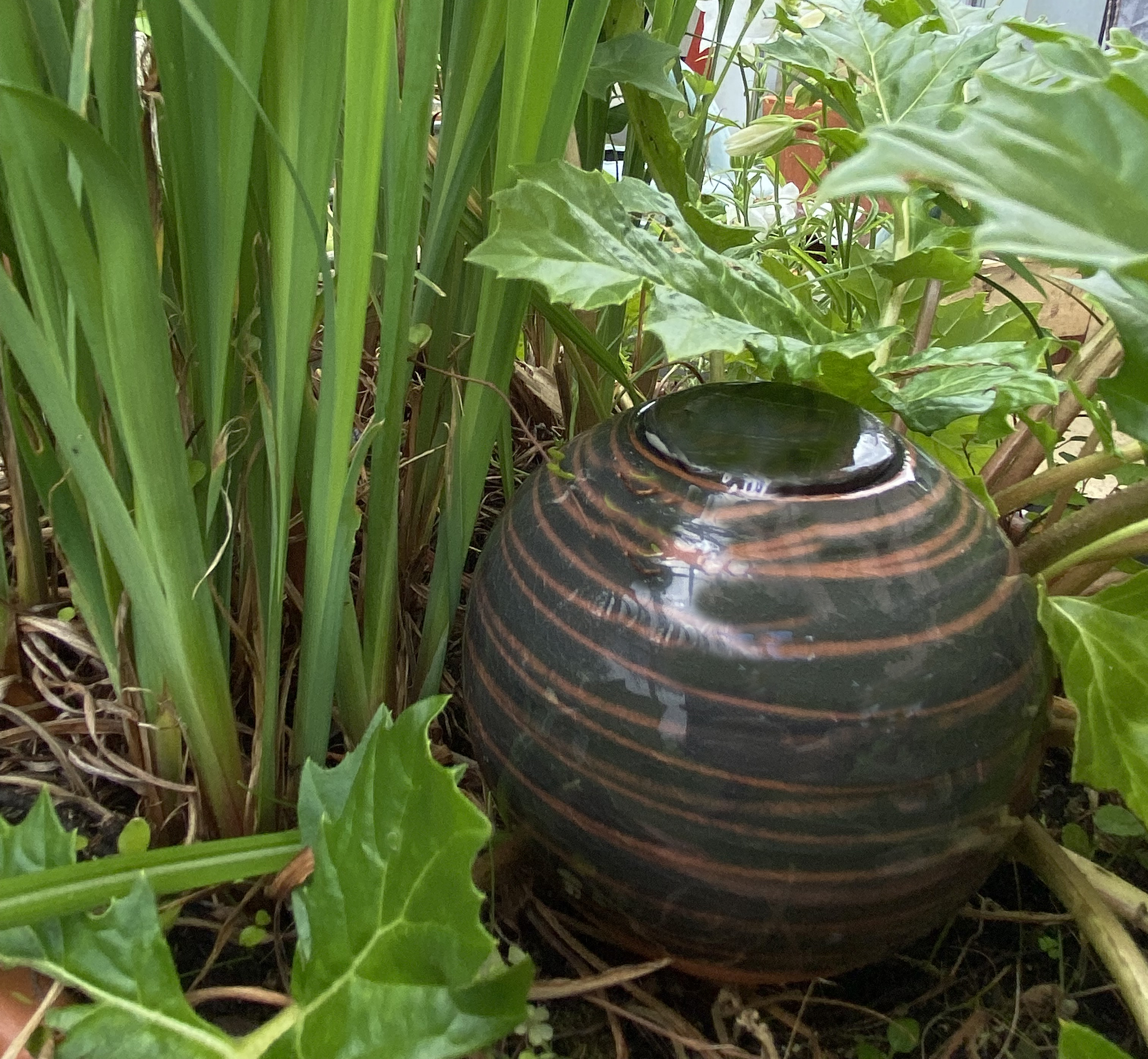 Ollas émaillées Décorées 10