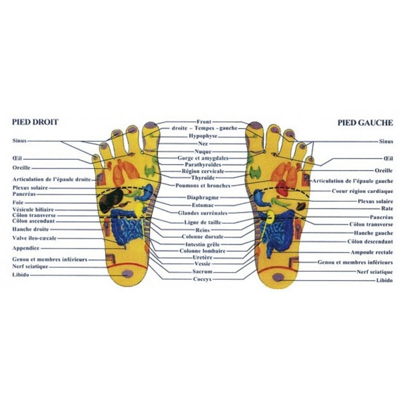 les détox patchs permettent d'éliminer les toxines de notre corps durant la nuit