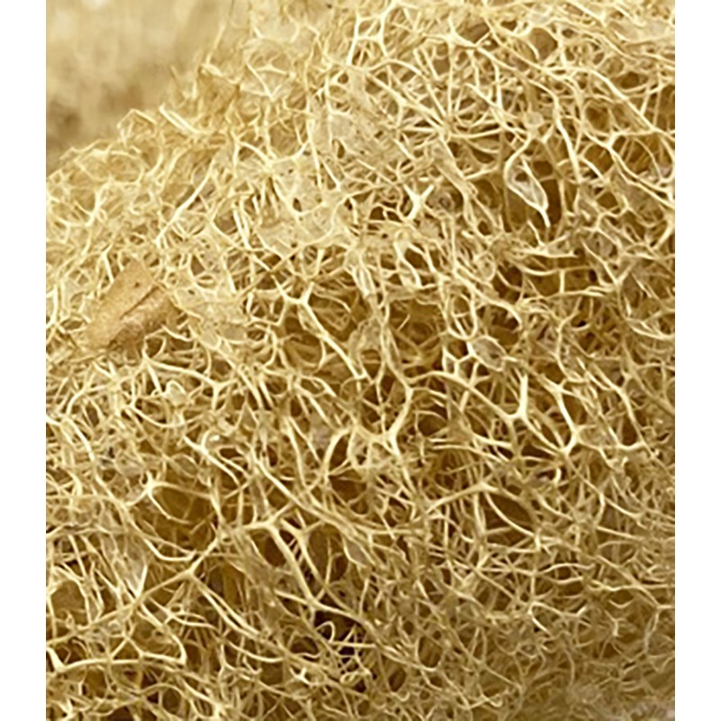 éponge luffa entière, entretien ménage