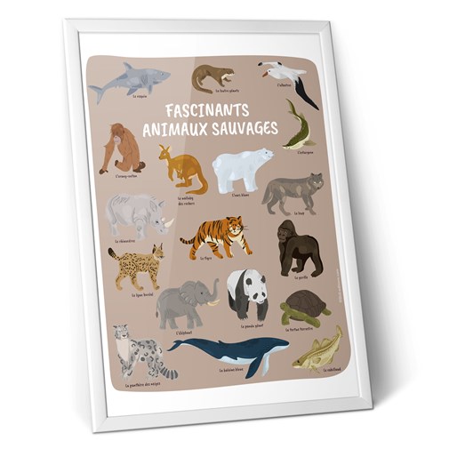 Affiche - Fascinants animaux sauvages